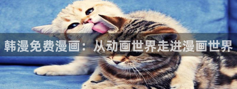 91漫画在